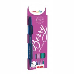 Pentel Faserschreiber Sign Pen Brush 4er Set \(SES15B-4\)