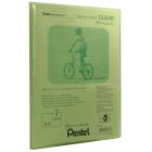 Pentel Pr�sentationsmappe Clear A4 mit 20 H�llen (DCF242) Gr�n