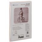 Pentel Pr�sentationsmappe Clear A4 mit 20 H�llen (DCF242) Transparent